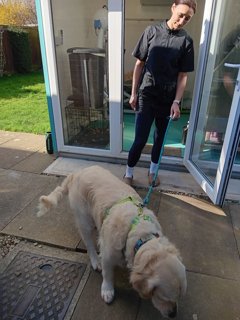 A groomer leading a golden retriever out of the garden-room salon door onto the patio